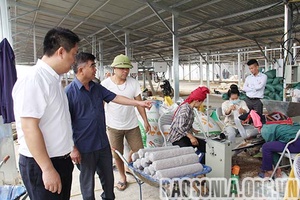Rà soát, xác minh mô hình kinh tế trang trại theo Thông tư số 02 của Bộ NN&PTNT