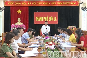 Thành phố họp Ban Chỉ đạo công tác bầu cử đại biểu Quốc hội khóa XV và HĐND các cấp