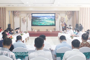Khởi động đánh giá tác động của COVID-19 và lập kế hoạch phục hồi ngành nông nghiệp