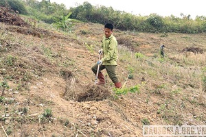 Chiềng Công tìm hướng thoát nghèo