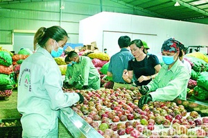 Đồng hành với doanh nghiệp, nhà đầu tư