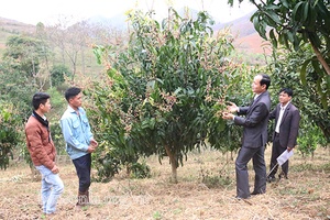 Điểm tựa của đồng bào dân tộc thiểu số