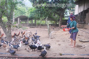Mường Giôn tập trung phát triển kinh tế