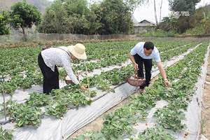 Mường Chùm hôm nay