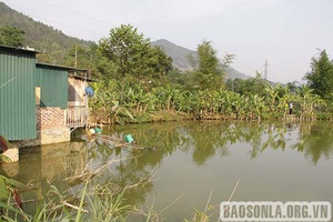 3 học sinh tử vong do đuối nước 