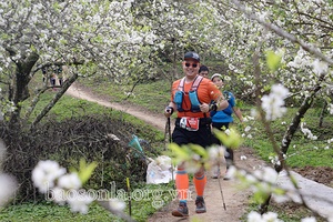 Hơn 4.100 vận động viên sẽ tham gia giải chạy Vietnam Trail Marathon tại huyện Mộc Châu vào ngày 23/4