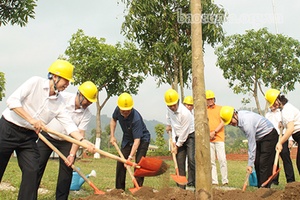 Công ty Điện lực Sơn La sẽ trồng mới 600 cây xanh trong năm 2021