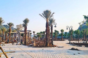 Picenza Riverside công trường ngày đêm “không ngủ”