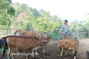 Đồng hành cùng người khiếm thị