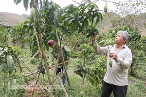 Dũng cảm trong thời chiến, gương mẫu trong thời bình