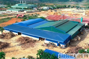Công ty TNHH Thanh Nhung chăm lo người lao động