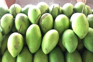 Kim ngạch xuất khẩu nông, lâm, thủy sản tăng mạnh
