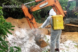 Thành phố: Tiêu hủy 6 con bò mắc bệnh viêm da nổi cục