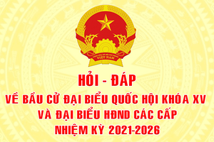 Kỳ 30: Hỏi - đáp về bầu cử đại biểu Quốc hội khóa XV và đại biểu HĐND các cấp nhiệm kỳ 2021-2026