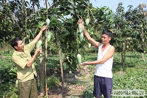 Tăng cường đào tạo nghề cho lao động nông thôn