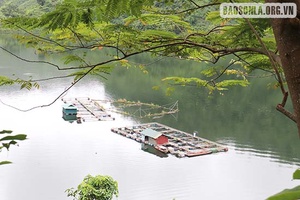 Quản lý tốt, nâng cao hiệu quả vốn vay