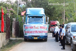 Lô xoài đầu tiên xuất ngoại