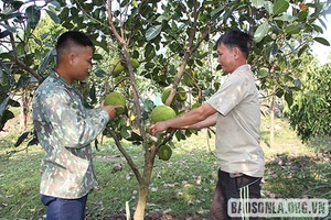 Hỗ trợ hội viên phát triển kinh tế