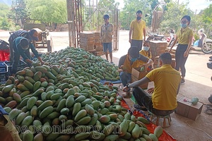 Bưu điện đồng hành cùng người dân tiêu thụ nông sản