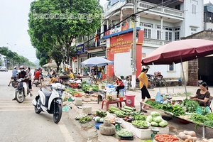 Sớm quy hoạch đồng bộ hệ thống chợ dân sinh