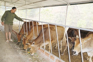 Đổi thay Nậm Lạnh