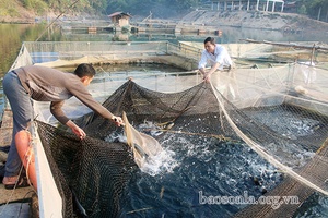 Mường La tăng cường các giải pháp giảm nghèo