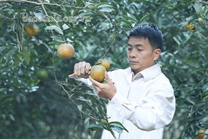 “Muốn bà con tin, tôi phải tiên phong làm trước”