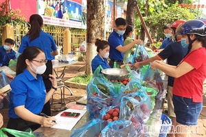 Hỗ trợ tiêu thụ vải thiều Bắc Giang