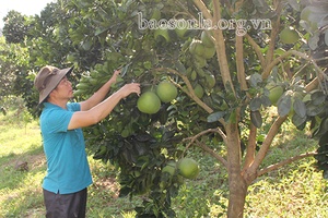 Lựa chọn đúng, trúng nội dung đột phá