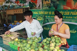 Phát triển chuỗi liên kết và xây dựng thương hiệu nông sản Yên Châu