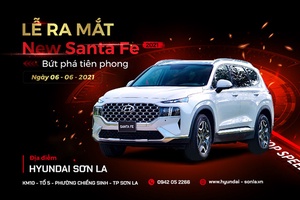 Thư cảm ơn khách hàng theo dõi sự kiện "Lễ ra mắt New Santafe 2021"