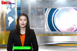 Điểm báo tuần 24