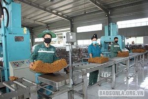 Đảm bảo sản xuất kinh doanh trong điều kiện dịch bệnh