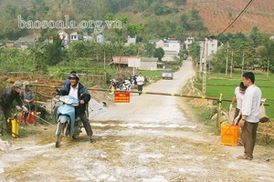Tăng cường phòng, chống bệnh dịch tả lợn châu Phi