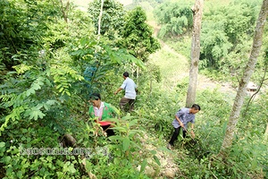 Đảng viên nêu gương, nhân dân làm theo