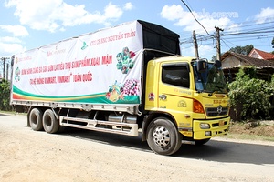 Đồng hành cùng bà con tiêu thụ mận trên hệ thống VINMART và VINMART+ toàn quốc