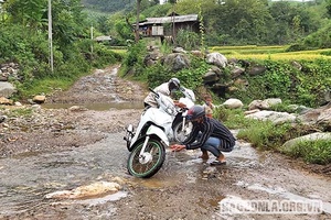 Sớm cải tạo, nâng cấp tuyến đường nối quốc lộ 279D với quốc lộ 37