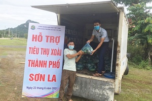 Công đoàn Trường Đại học Tây Bắc hỗ trợ tiêu thụ nông sản cho nông dân