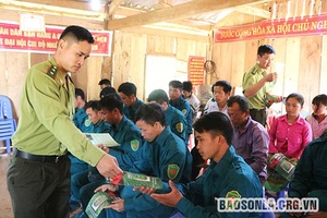 Giữ rừng nơi vùng cao Bắc Yên