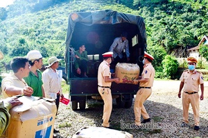 Hỗ trợ người dân tiêu thụ 10 tấn mận hậu
