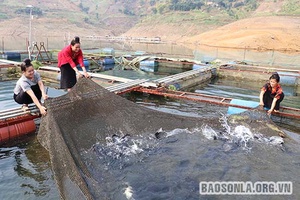 Xây dựng NTM ở Quỳnh Nhai: Kỳ II: Phát huy vai trò chủ thể của người dân