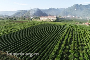 Quy hoạch xây dựng vùng liên huyện, tạo động lực thúc đẩy phát triển KT-XH