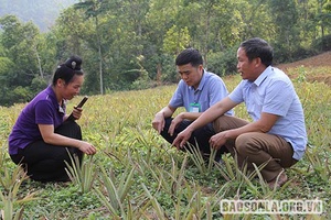 "Dân vận khéo" trong phát triển kinh tế