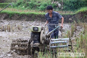 Chiềng Pấc vào vụ mùa