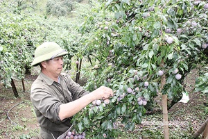 Đẩy mạnh phong trào thi đua, khơi dậy tinh thần đổi mới