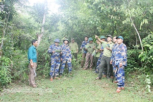 Bảo vệ rừng đặc dụng Tà Xùa