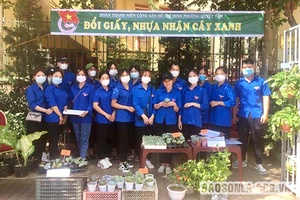 Chương trình “Đổi giấy, nhựa nhận cây xanh”