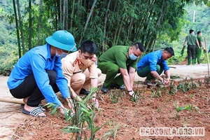  “Chiến sỹ tình nguyện, chung tay xây dựng nông thôn mới”