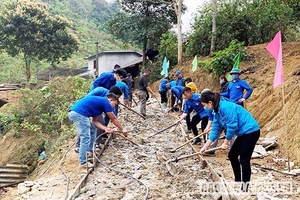 Tổ chức hoạt động “Ngày cao điểm tình nguyện xây dựng nông thôn mới”
