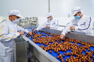 Mở “cánh cửa lớn” cho nông nghiệp